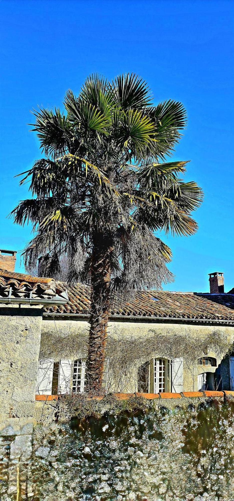 Hotel Candide Saint-Bertrand-de-Comminges Exterior foto